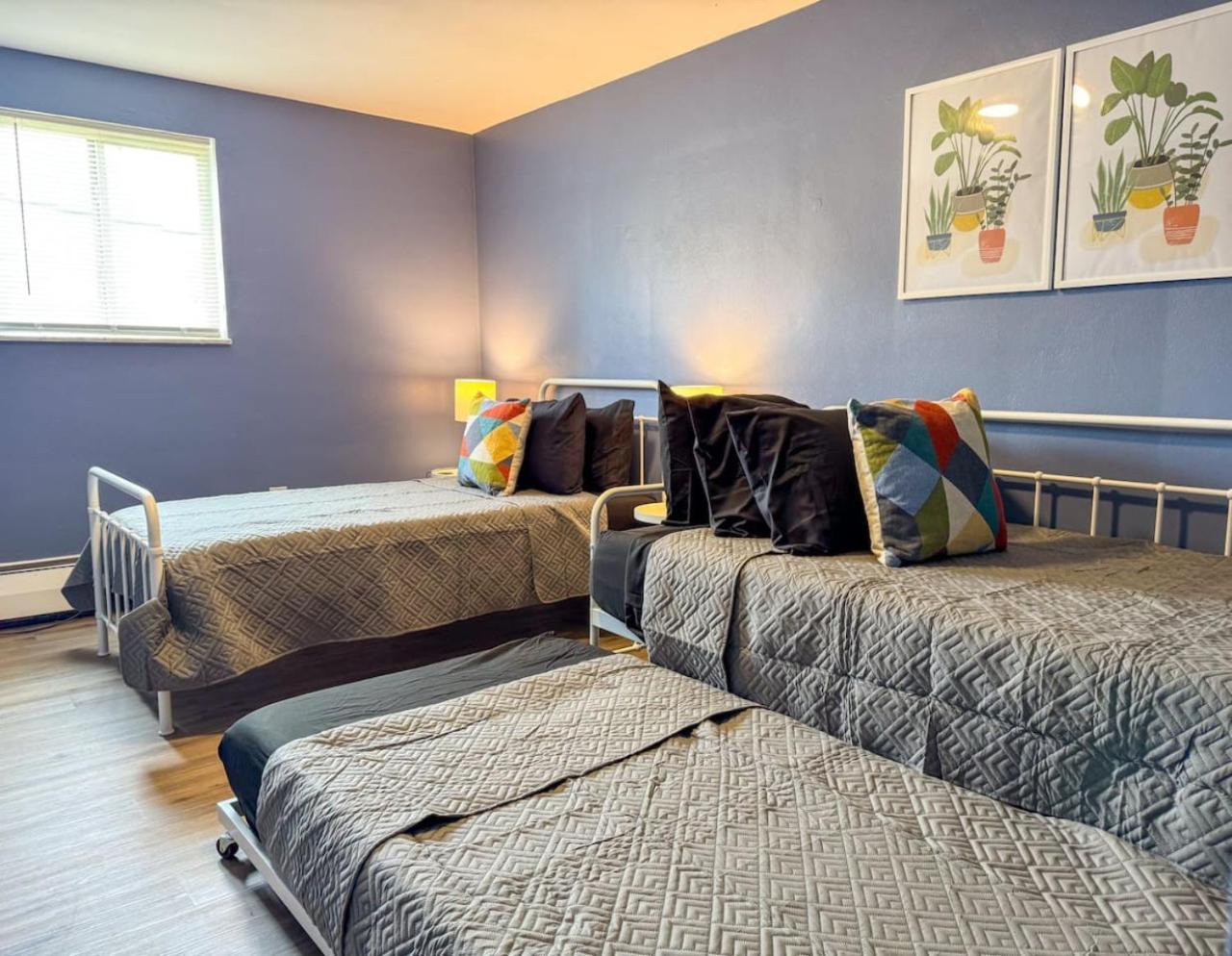 Apartamento 4 Large With 8 Bedrooms And Parking Wifi